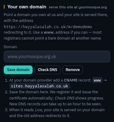 Your own domain panel with the CNAME instructions